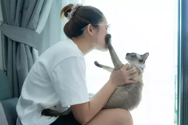 猫と暮らして『成長させられた』と感じること5つ　愛猫の存在が飼い主にもたらす変化とは？