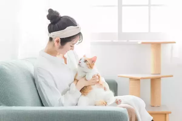 猫を『抱っこ好き』に育てるためのコツ4つ　避けるべき行為や正しい抱き方までご紹介
