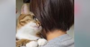 家族で順番に『ネコを抱っこ』した結果…『父と次男への反応』が面白すぎると341万再生「次男くんが一番ｗ」「わかりやすっｗ」と爆笑の声