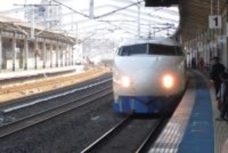 猫を『新幹線』に乗せるときに注意すべきこと4つ　乗車規定や費用、守るべきマナーまで