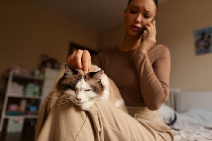 猫があなたの『膝の上』に乗ってくる理由5つ　考えられる心理や降りてほしいときの対処法まで