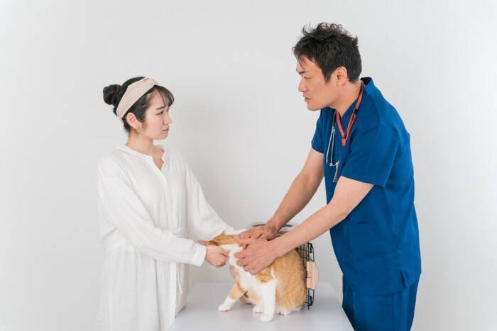 猫が『苦しそうに呼吸』をしているときに疑われる原因4つ　異常のサインや取るべき対応まで