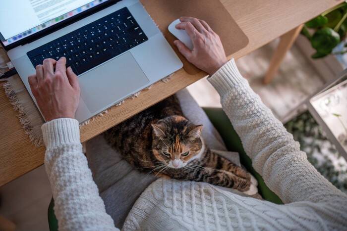猫が『しつこい人』を嫌がる理由5つ　構いすぎには注意？猫が好む距離感まで