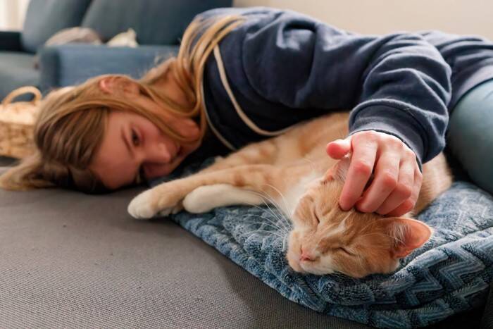 猫にとっては『絶対に許せない』人間の習慣4選　実は無意識にストレスを与えているかも？