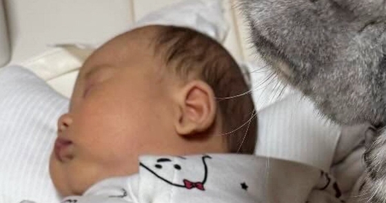 『赤ちゃんが寝ていると、猫が近くにやってきて…』次の瞬間→まさかの光景が可愛すぎると147万表示「見守ってるのかな」「圧かけてて笑う」