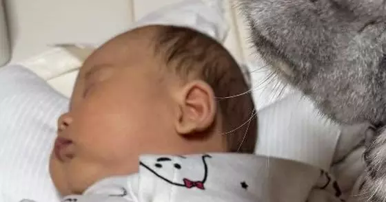 『赤ちゃんが寝ていると、猫が近くにやってきて…』次の瞬間→まさかの光景が可愛すぎると147万表示「見守ってるのかな」「圧かけてて笑う」