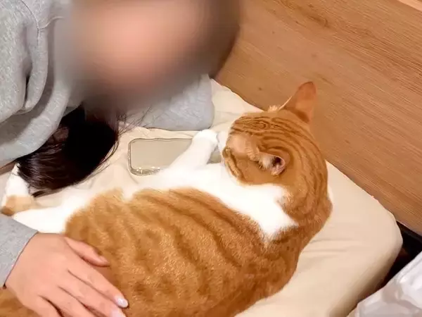 『飼い主の彼女』のことが大好きなネコたち→愛おしすぎる『まるで恋人のような行動』が12万再生「順番待ちしていて可愛い」「彼氏気分」