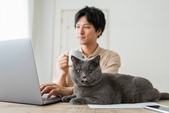 猫との生活を『無理なく送る』ための心得5つ　日々のお世話をラクにする工夫もご紹介