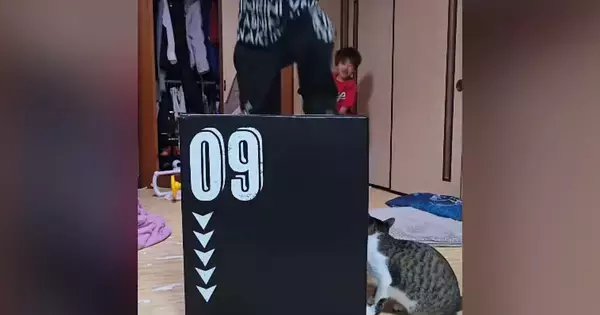 長男が箱に飛び乗るときはスルーする猫→次男がジャンプすると…『まさかの光景』が66万再生「声出して笑ったｗ」「完全に狙ってるｗ」