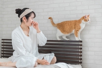 猫と暮らす部屋のニオイを『消臭する方法』5選　原因別の対処法や避けるべきNG行為