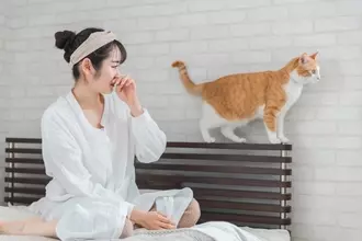 猫と暮らす部屋のニオイを『消臭する方法』5選　原因別の対処法や避けるべきNG行為