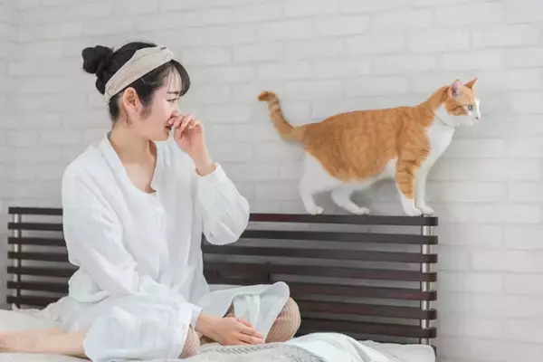 猫と暮らす部屋のニオイを『消臭する方法』5選　原因別の対処法や避けるべきNG行為