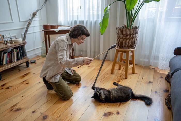 猫のために働くことができる『お仕事』3選　主な仕事内容から役立つスキルや資格まで