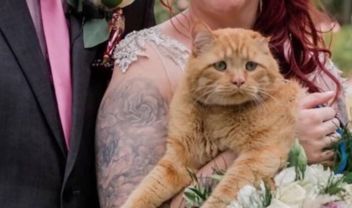 世界一悲しい顔をした保護猫…その理由とは？差し伸べられた手が起こした奇跡