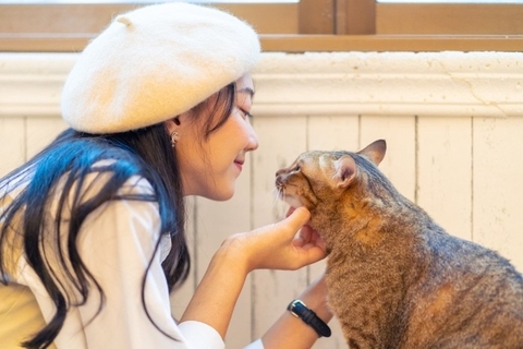 猫が『人の言葉』を理解しているときのサイン5選　実は想像以上に伝わっている…？