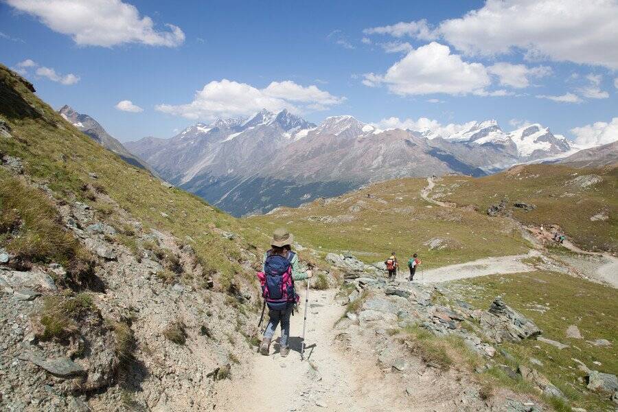 卓越した能力で、多くの登山家を登頂制覇に導いた「山岳ガイド」猫　スイス