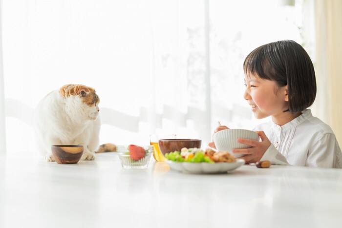 人間にとって『健康にいい食品』でも猫には注意？3つの食べ物ごとの安全性や影響を解説