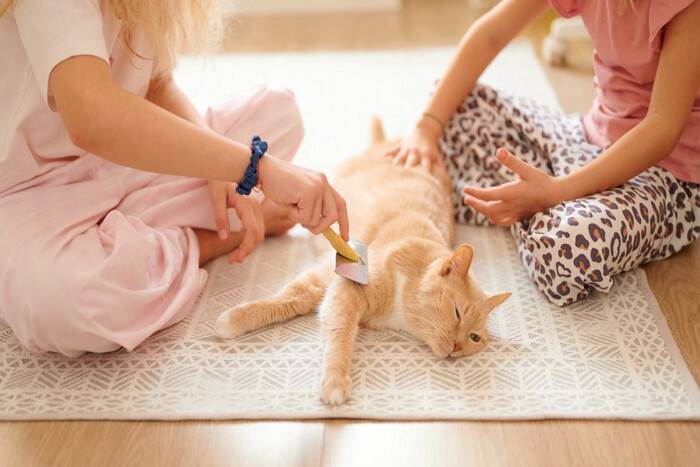 猫が『最期を迎える直前』に飼い主に伝えたいこと5つ　愛猫が贈るあなたへの思いとは