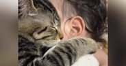 ママが赤ちゃんを抱っこしていると、『2匹の猫』が…涙が出るほど『尊い光景』が48万再生「えー可愛すぎるーー」「人類の夢が詰まってる」