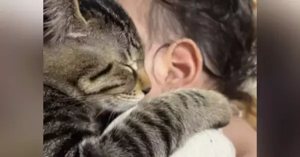 ママが赤ちゃんを抱っこしていると、『2匹の猫』が…涙が出るほど『尊い光景』が48万再生「えー可愛すぎるーー」「人類の夢が詰まってる」