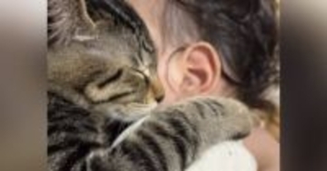 ママが赤ちゃんを抱っこしていると、『2匹の猫』が…涙が出るほど『尊い光景』が48万再生「えー可愛すぎるーー」「人類の夢が詰まってる」