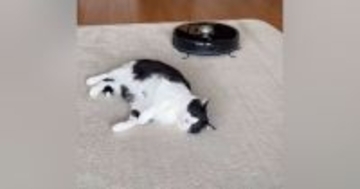 お昼寝中の猫→『ロボット掃除機』が近づいてくると…まさかの光景が2500万再生「す、すごいｗ」「吹いてしまった」「平和な世界」