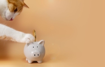 猫との生活で必要な『費用』はどのぐらい？主な支出となる5つの項目や生涯でかかる金額の目安まで
