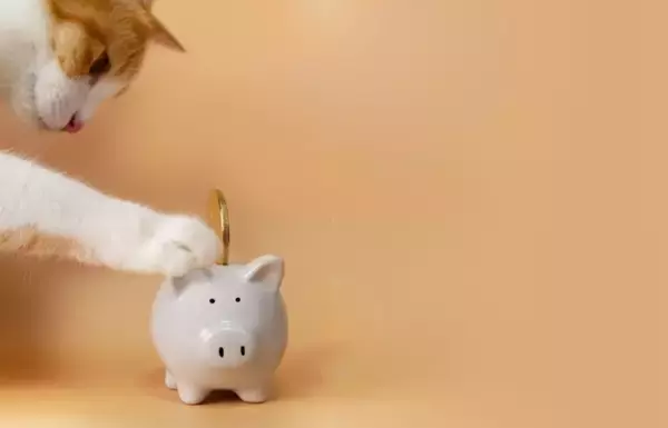 猫との生活で必要な『費用』はどのぐらい？主な支出となる5つの項目や生涯でかかる金額の目安まで
