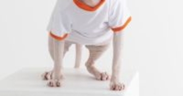 猫たちと記念撮影→オフショットに『奇跡の瞬間』が…一度見たら忘れられない『表情』に２万いいね「デスメタル感あるｗ」「狙っても撮れない」