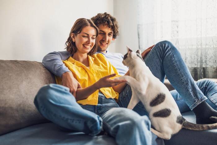 猫の『鼻チュー』に込められている5つの理由　信頼されている証？行動の意味とは