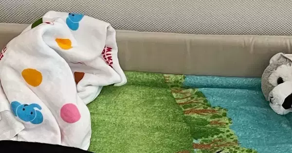 赤ちゃんと一緒に大人用のベッドで就寝→目が覚めて、ふと『ベビーベッド』を見たら…笑ってしまう光景に２万いいね「使いこなしてるｗ」