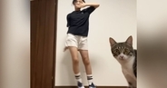 ダンスの練習中、カメラを置いて撮影をしていたら『猫』が近づいてきて…笑ってしまう光景に22万いいね「全部ネコｗ」「意図的だよねｗ」