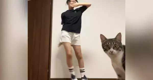 ダンスの練習中、カメラを置いて撮影をしていたら『猫』が近づいてきて…笑ってしまう光景に22万いいね「全部ネコｗ」「意図的だよねｗ」