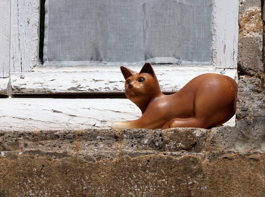 90年の時をへて、再び自宅に戻ってきた！　モネの「白い猫」　フランス