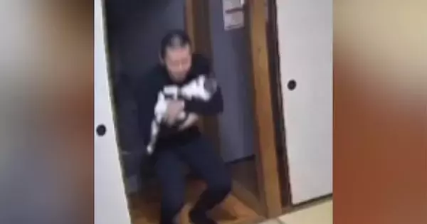 『浮気現場でも抑えてやろう』とペットカメラを覗いたら、猫と……まさかの光景が381万再生「浮気でなく本気」「修羅場になるｗ」