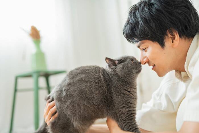 猫があなたに『体を預けたがる』ときの理由4選　信頼されている証？考えられる心理とは