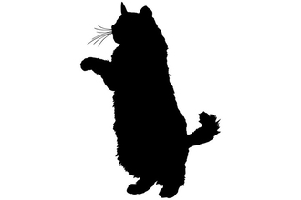 猫が『二本足で立ち上がる』ときの理由4選　どんなときに立つの？さまざまな目的をご紹介