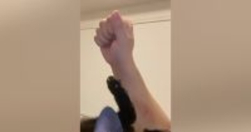 寝転がっていた子猫→目の前で手を『グーパー』してみたら…「過呼吸になるかと思った」尊すぎる反応が59万再生「はあ癒された」と悶絶の声