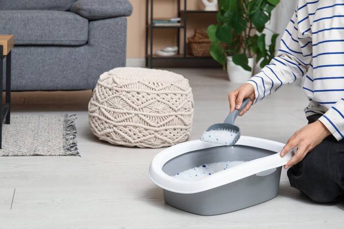 猫の『良い飼い方』と『悪い飼い方』で異なるポイント４つ　快適に暮らしてもらうための心得