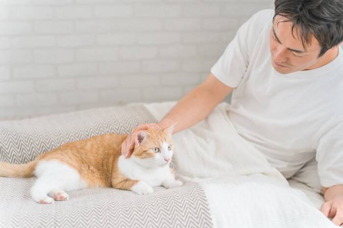 猫が飼い主のことを『嫌っている』サイン5選　避けられてしまう理由や関係改善のコツも