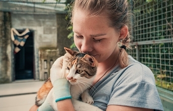 高齢の保護猫を家族に迎えた夫婦が手にした「愛情と価値ある絆」　米国