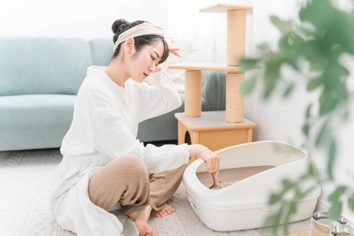 猫に『トイレトレーニング』を上手に教えるポイント5つ　覚えられないときの原因や見直したいことまで