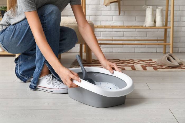 愛猫の『トイレがクサい』ときに考えられる原因5つ　気になるニオイへの対処法まで解説