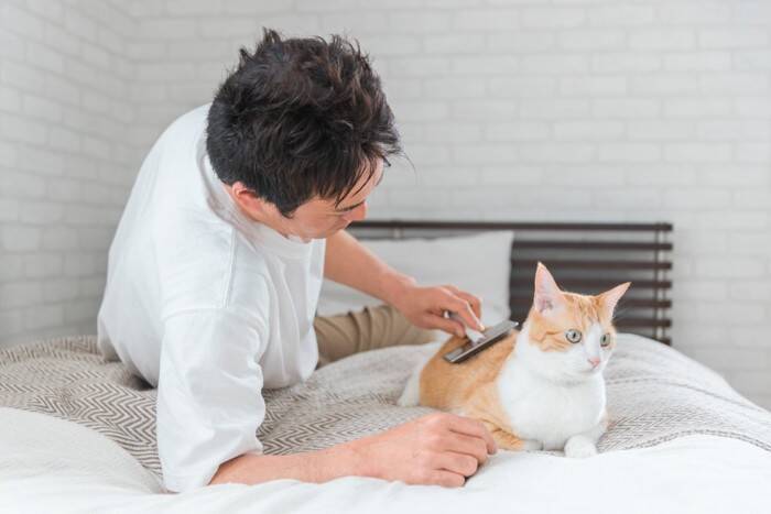 猫の尻尾がベタベタする『スタッドテイル』ってなに？　発症しているときの症状や予防法まで解説