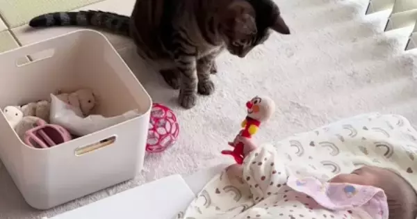 布団の上で寝ている赤ちゃん→近くには『2匹の猫』がいて…微笑ましすぎるやり取りに「優しい世界」「わぁー癒される」と24万再生