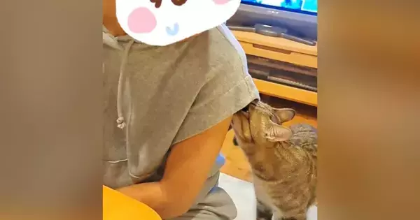 半年ぶりに遊びに来た姪っ子ちゃん→猫が匂いチェックし始めて…次の瞬間『思いもよらない行動』に「あからさまｗ」「爆笑」と12万再生