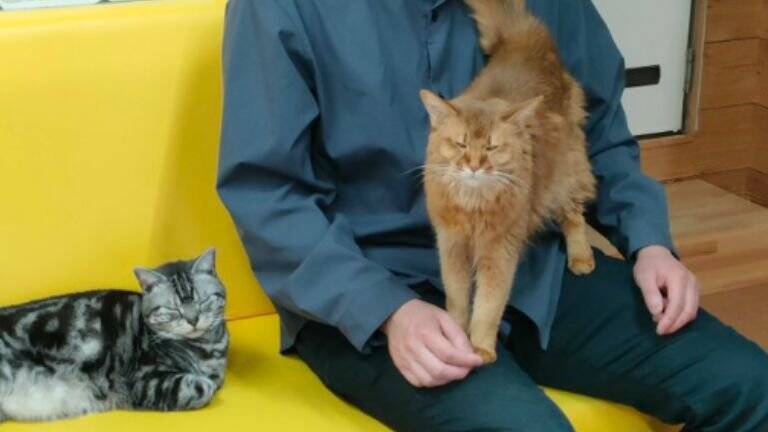 『情報量多すぎ』猫カフェにカップルが来店した日の様子が…→笑撃の光景が713万表示「脳が処理しきれなかったｗ」「トレーニング中？ｗ」