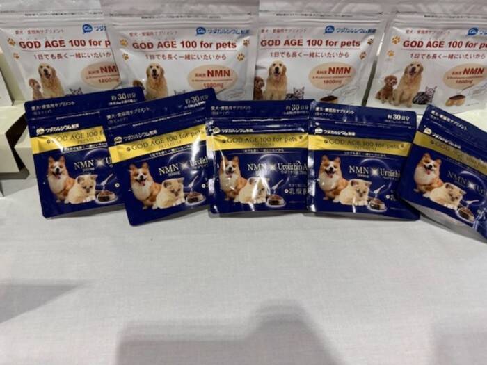 ２月２２日はにゃん・にゃん・にゃんの「猫の日」。Aichi Sky Expoで開催された「わんにゃんドーム2026」に行ってきました！