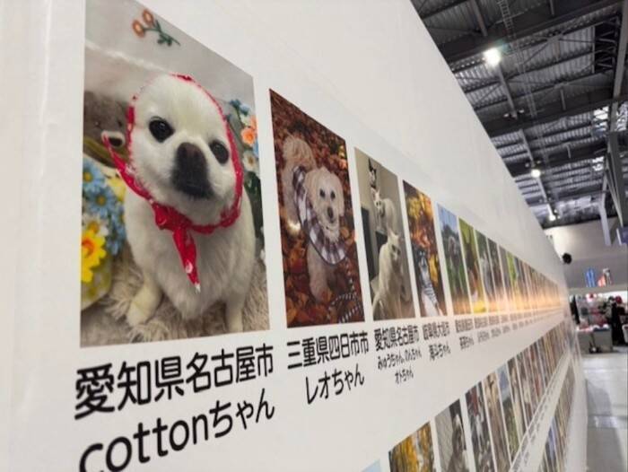 ２月２２日はにゃん・にゃん・にゃんの「猫の日」。Aichi Sky Expoで開催された「わんにゃんドーム2026」に行ってきました！