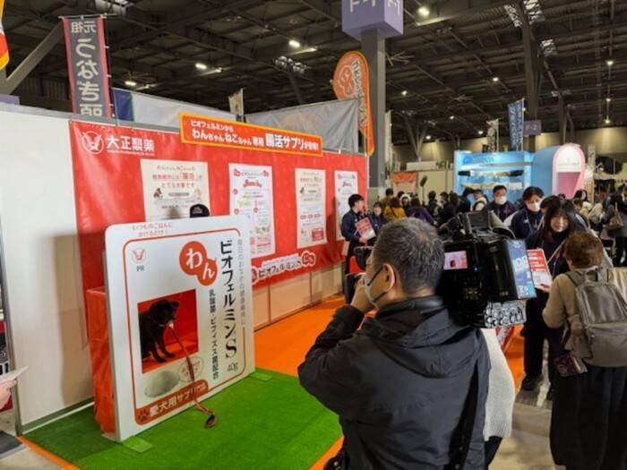 ２月２２日はにゃん・にゃん・にゃんの「猫の日」。Aichi Sky Expoで開催された「わんにゃんドーム2026」に行ってきました！